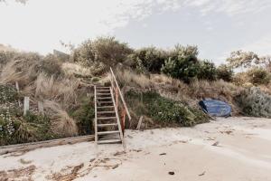 a wooden ladder on a beach with grass and bushes at Seagrass Coastal Retreat with direct beach access in Lewisham +33 photos