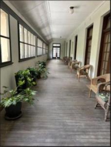 a hallway with benches and plants in a building at The Riverine Club in Wagga Wagga