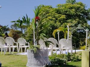 Zahrada ubytování Destiny Palms Apt