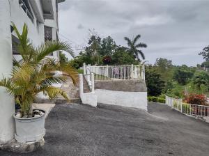 a palm tree in a pot next to a building at Destiny Palms Apt in Belle Air Summit +11 photos