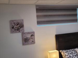 Μια τηλεόραση ή/και κέντρο ψυχαγωγίας στο Luxury one bedroom in a modern basement