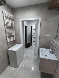 a bathroom with a toilet and a sink at Kruszwica Wspólna 3 in Kruszwica +15 photos