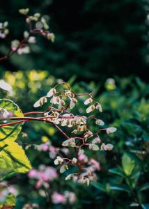 Imagen de la galería de Hotel y Restaurante El Páramo, en San Rafael Norte