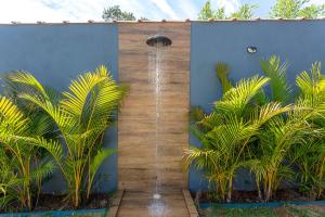 Vườn quanh Piscina, churrasqueira, natureza - Brazilian Corner