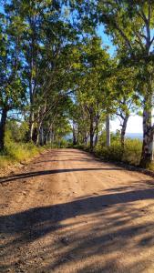 un camino de tierra con árboles a ambos lados en Refugio del Valle, en La Falda