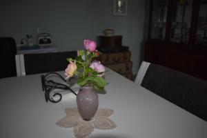 Fotografie z fotogalerie ubytování BnB on Bakers v destinaci Waimate