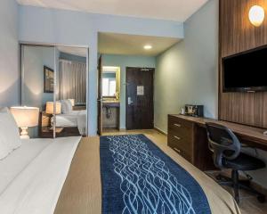 TV a/nebo společenská místnost v ubytování Comfort Inn & Suites
