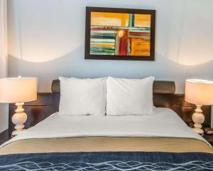 Postel nebo postele na pokoji v ubytování Comfort Inn & Suites