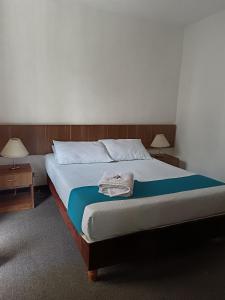 Postel nebo postele na pokoji v ubytování Hotel del Parque Confort LaCeja