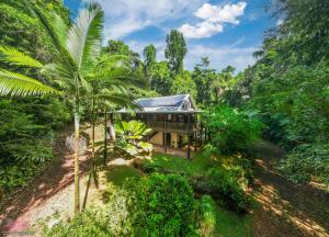 una vista aérea de una casa en la selva en Fern House, en Kurrimine Beach