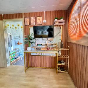 TV a/nebo společenská místnost v ubytování Lee Red House + 85 fotografií