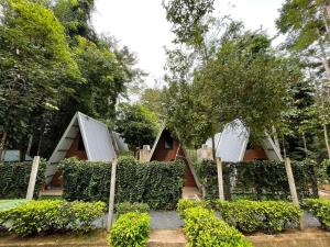 Zahrada ubytování Amar Camp Taman Negara Kuala Tahan