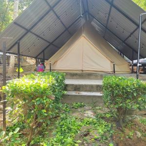 Zahrada ubytování Amar Camp Taman Negara Kuala Tahan