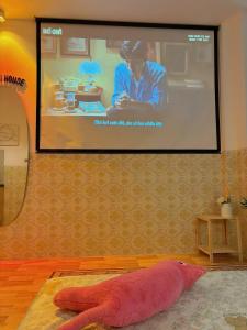 Μια τηλεόραση ή/και κέντρο ψυχαγωγίας στο Corgi House Homestay Nha Trang 2