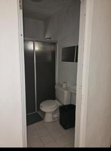 a bathroom with a toilet and a shower at Luz de Luna Mahahual in Mahahual