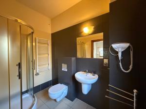 een badkamer met een wastafel, een toilet en een douche bij Dom Madeyski in Szczawnica +31 foto's