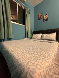 a bedroom with a large bed with blue walls at charming 1br retreat in bayan lepas 1car park Malaysian guest only Netflix in Bayan Lepas