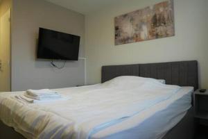 ein Schlafzimmer mit einem Bett und einem Flachbildfernseher an der Wand in der Unterkunft Hotel Winkel in Schönenwerd