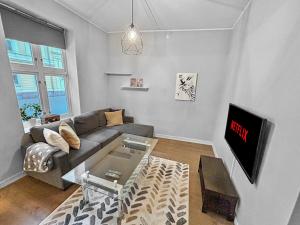 オスロにあるExclusive and Central Apartment in Vikaのソファとテレビのあるリビングルーム