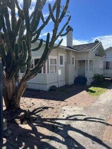 a house with a cactus in front of it at 5 Bedroom House A with 13 Beds including 6 Double Beds, 2 Single Beds, and 5 Sofa Beds in Auckland