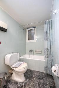 a bathroom with a toilet and a bath tub at Syntagma square 1 bedrm 4 persons apartment by MPS in Athens +40 photos