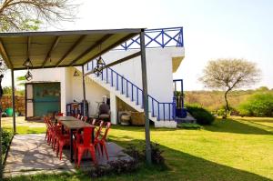 O grădină în afara Benzila Cottage
