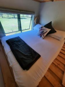 a large white bed in a room with a window at Mountain view Bespoke tiny home in Plettenberg Bay +9 photos