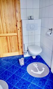 a bathroom with a toilet and a blue floor at Lenis Strandhaus in Loissin