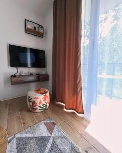 TV i/ili multimedijalni sistem u objektu Apartman Pino Divčibare