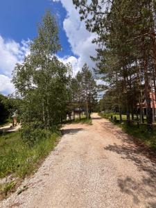 Priroda u blizini apartmana