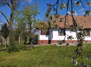 Hajnal Apartman Szigetvár外面的花园