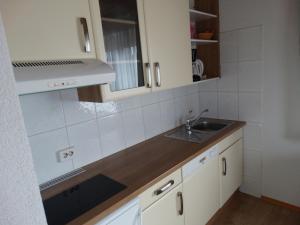 Kuchyňa alebo kuchynka v ubytovaní Frans Josef Apartments