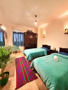 a bedroom with two beds and a potted plant at Moonlight in Dahab