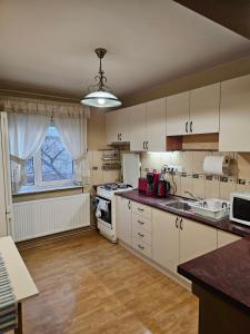 Kuchyň nebo kuchyňský kout v ubytování Apartament David Deva - 2 dormitoare & 1 living