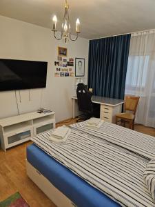TV a/nebo společenská místnost v ubytování Apartament David Deva - 2 dormitoare & 1 living