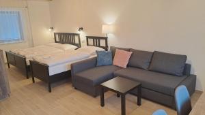 ein Wohnzimmer mit einem Sofa und 2 Betten in der Unterkunft Apartmán Nové Město na Moravě - Maršovice in Nové Město na Moravě