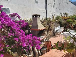 Zahrada ubytování Welcoming house with pool in San Cristóbal - 85 m²