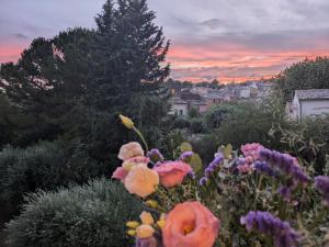 a garden of flowers with a sunset in the background at Le Nid Ensoleillé in Les Arcs sur Argens