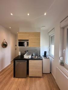 Η κουζίνα ή μικρή κουζίνα στο Bright and Modern Apartment in Dijon +2 φωτογραφίες