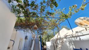 Το κτήριο όπου στεγάζεται  το διαμέρισμα