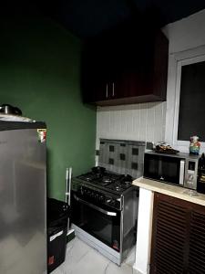 Η κουζίνα ή μικρή κουζίνα στο Kleines Haus Rooftop Studio