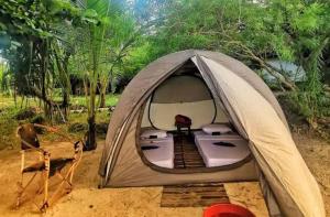 a tent sitting on the sand in a field at silver travel sand safari in Ngambo