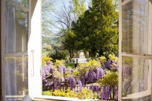 an open window looking out at a garden with purple flowers at Le Pont de L'orme in Malaucène