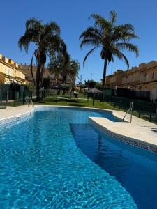 a blue swimming pool with palm trees in the background at Casa coqueta con jardin in La Redondela