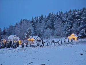 a house covered in christmas lights in a snowy field at Noclegi Panorama - Domek RUSTIC in Ustrzyki Dolne
