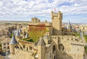 Photo de la galerie de l'établissement Apartamento La Rueda, à Olite