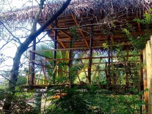 Jardín al aire libre en Ancient Grand Villa