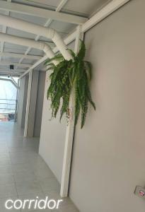 Afbeelding uit fotogalerij van MoMoYa House in Bangkok