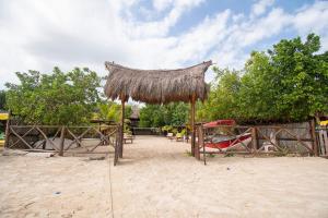 巴鲁岛AMALIFE Beach Club & Hotel的相册照片