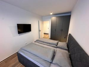 TV a/nebo společenská místnost v ubytování SORRY-HORY Apartmán Dolní Morava